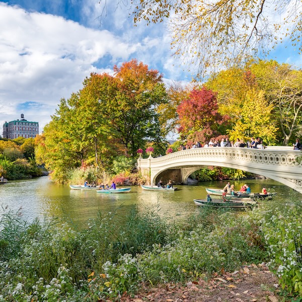People enjoying a beautiful day in Central Park in New York City, New York