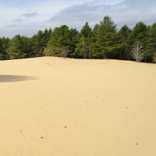 Sandy landscape of the Desert of Maine in coastal Maine
