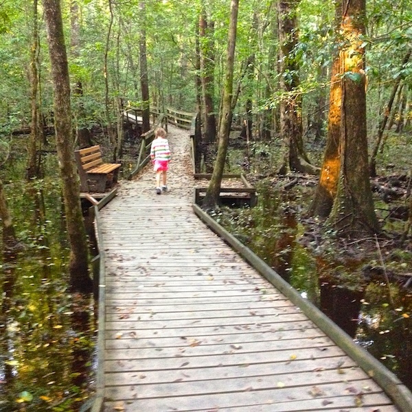 Child walking on a boardwalk in Congaree National Park in South Carolina