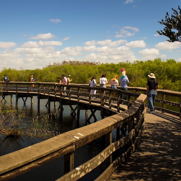 Visitors walking a boardwalk in Everglades National Park outside of Homestead, Florida