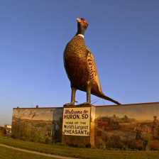 World's Largest Pheasant Sculpture in Huron, South Dakota