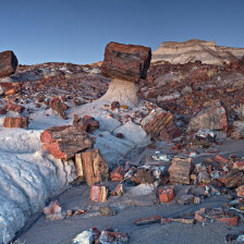 Jasper Forest of Petrified Forest National Park in Arizona