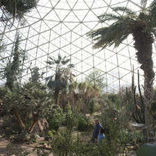Visitors inside one of of the domes of Mitchell Park in Milwaukee, Wisconsin