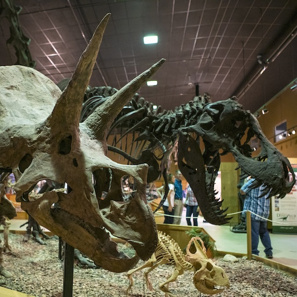 Visitors admiring the fossils at the Wyoming Dinosaur Center in Thermopolis, Wyoming